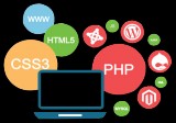 Best E-commerce Web Designing  and Development Company