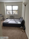 Private room in a spacious 2 bedroom apartment
