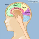 Neurology - Neuro Life Hospital  Best Neurologist in Chennai