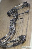 Archery Bow - Xpedition Xcentric 7