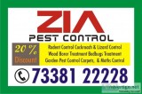 Zia Pest Control Service 788  Restaurant Builders and Developers