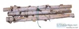 Buying Birch Poles