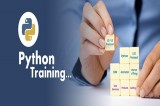 Why Python Training is Necessary