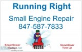 TORO SNOW BLOWER REPAIR INGELSIDE IL