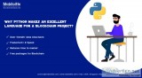 Python Development Company