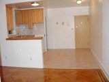 PRIME BAY RIDGE 1 BR APT 85TH ST (5TH AVE)