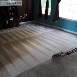 Professional Carpet Cleaning