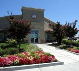 Commercial Landscape Maintenance Near Me