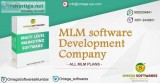 Best MLM Single Leg Plan Software Developer in India