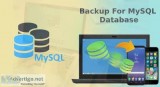 SuiteCRMSugarCRM MySQL Backup and Recovery  Outright Store