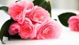 Fresh Flower Delivery Online In Pune