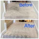 professional Carpet cleaning services