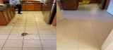 carpet Cleaning 5 areas