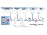 Tissue RNA isolation