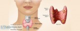 Thyroid Ayurvedic Clinic-Dr.Digish(M.D Ayu)Best Ayurvedic Doctor