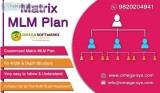 Best Matrix MLM Plan Software in Mumbai at an affordable cost