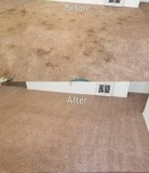 Looking for a new cleaner
