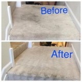 Professional carpet cleaning andClean Master