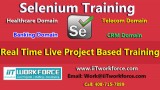 Selenium Real-time Project Workshop experience by iiT Workforce