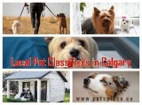 Find Tried and Tested  Local Pet Classifieds in Calgary using Pe