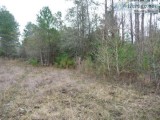 Over 5 acre lot-Splendora- no restrictions