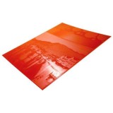 Red Rectangular Polymer Stereo Plate 