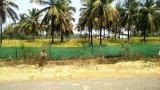 MYSORE   ROAD   MALAVALLI   CHIKKABAGILU   WELL MAINTAINED   FAR