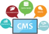 Hire CMS Developer in  the USA  Brill Infosystems