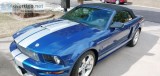 2008 Ford Shelby GT Convertible