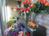 Flower Shops in London Ontario  Springhill Flowers