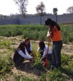 Get Selected in Best Agriculture College in Dehradun