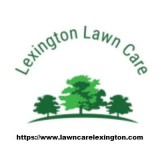 Best Lawn Care Services