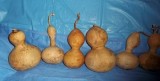 Gourds  Great For Art Projects