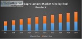 Global Caprolactam Market was