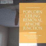 Remove Popcorn Ceilings Apache Junction AZ