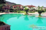 Beautiful Backyard Pools