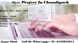 Bpo Project In Chandigarh