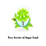 Tree Service of Sugar Land