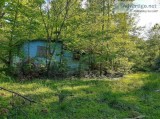 Tear Down House on 0.8 acre lot