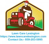 Springtime Lawn Care