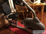 Schwinn Recumbent Bike