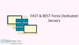 FAST and BEST Forex Dedicated Servers