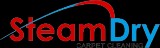 Steam Dry Carpet Cleaning