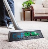 Most Trusted Carpet Cleaners in Ontario