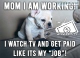 Free tv online & so much more