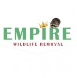 Wildlife removal Whitby Squirrel and Raccoon removal Whitby