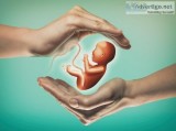 Saishree hospital the best place to deal with infertility issue