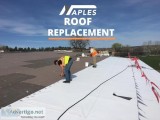 Roof Replacement Services