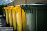 Avail Domestic Wheelie Bin Cleaning Service