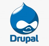 Drupal Development Company  Drupal Module Development Services